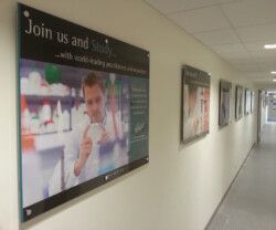 Internal Perspex display signs